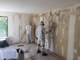 Reliable Gresham, OR Mold Removal Solutions